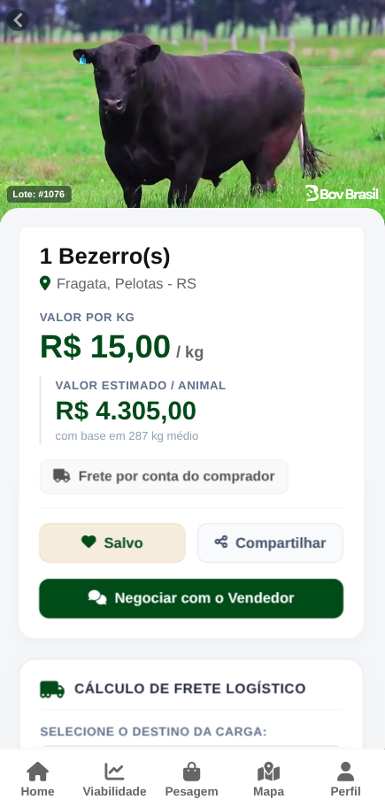 Anúncio de Lote de Gado no Rio Grande do Sul — Bov Brasil